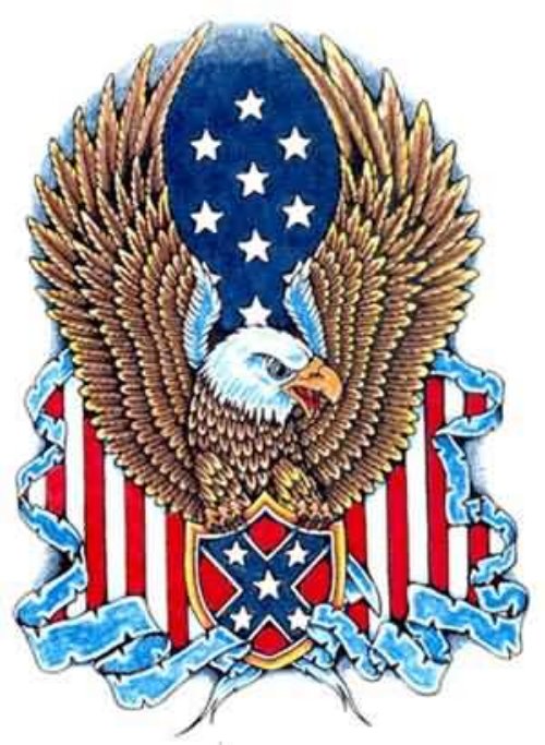 Wonderful American Eagle Tattoo