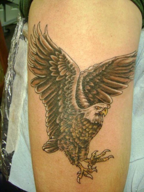 Color Ink Flying Eagle Tattoo