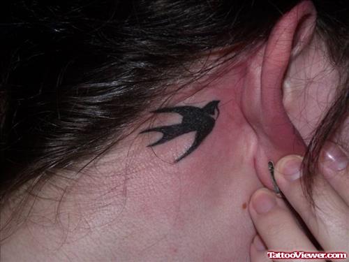 Flying Bird Back Ear Tattoo