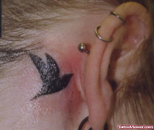 Black Flying Bird Behind Ear Tattoo