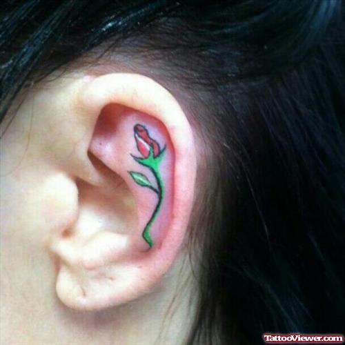 Rose Flower Tattoo In Ear