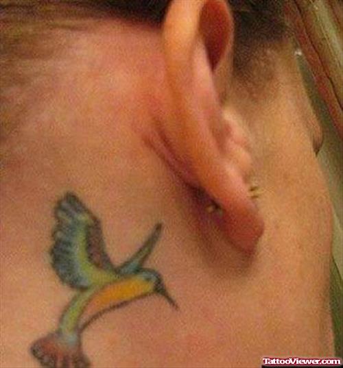 Flying Colored Hummingbird Tattoo Behind The Ear