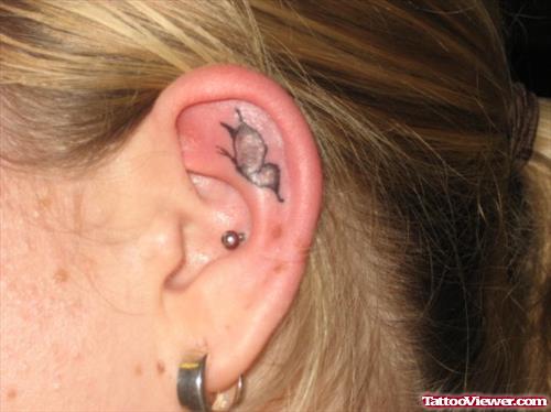 Grey Ink Butterfly Ear Tattoo