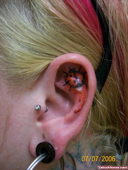 Color Ladybug Tattoo In Ear