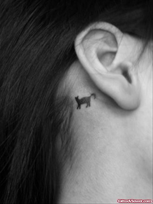 Black Cat Tattoo Behind Ear