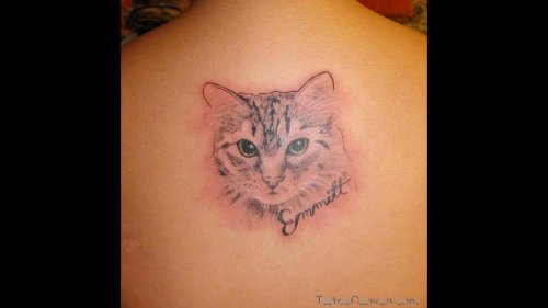 Green Eyes Egyptian Cat Tattoo On Upperback