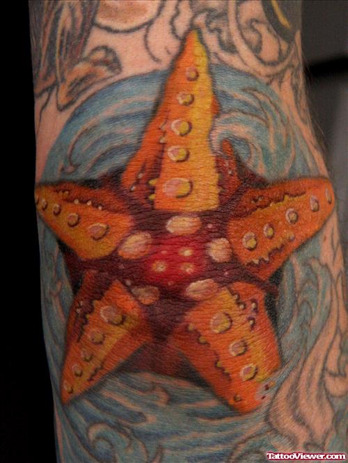 Star Fish Sea Creatures Elbow Tattoo