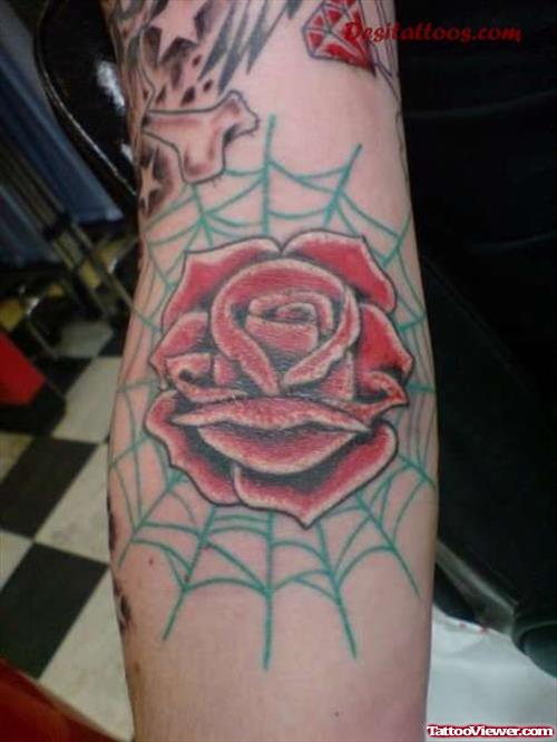 Spider Web And Red Rose Inner Elbow Tattoo