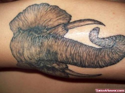 Awesome Grey Ink Elephant Elbow Tattoo