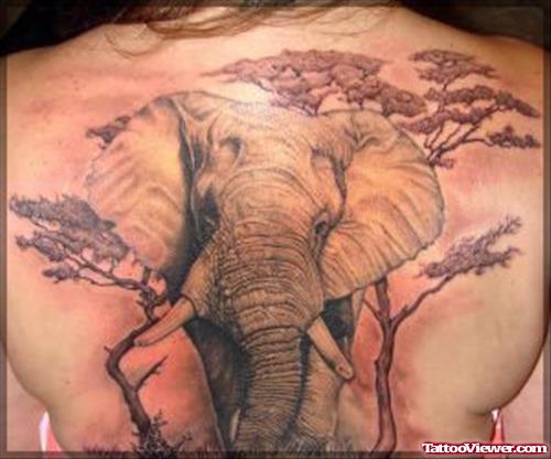 Wild Elephant Tattoo On Back