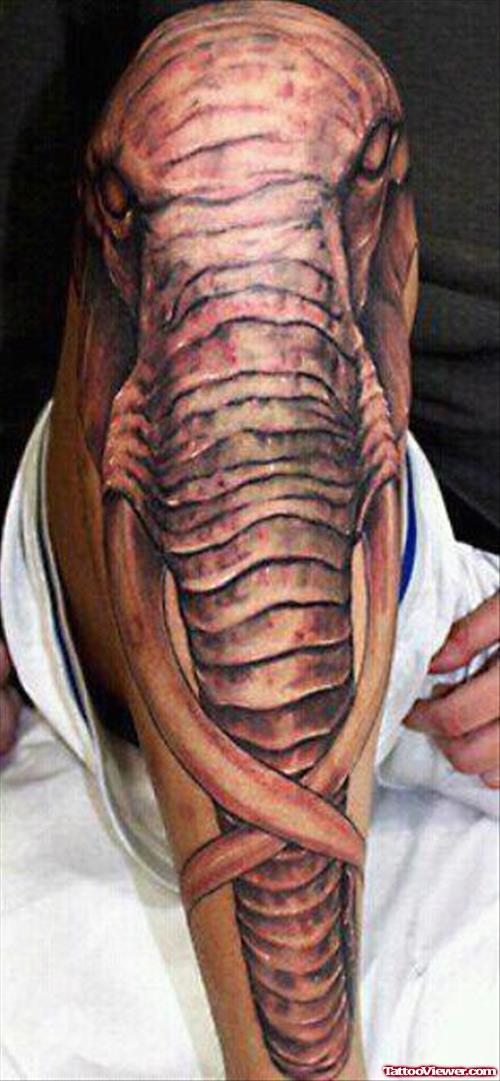 Grey Elephant Head Tattoo On Right Leg