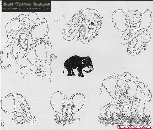 Elephant Tattoos Designs