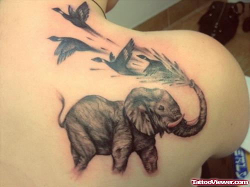 Grey Ink Elephant Tattoo On Right Back Shoulder