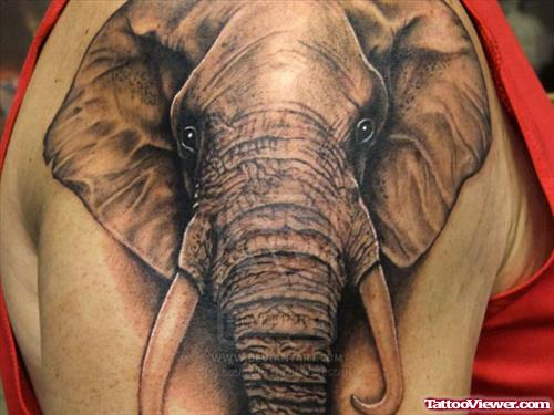 Grey Elephant Head Tattoo On Right Shoulder
