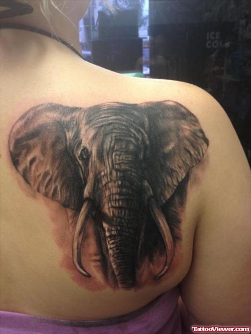 Cool Elephant Head Tattoo On Right Back Shoulder