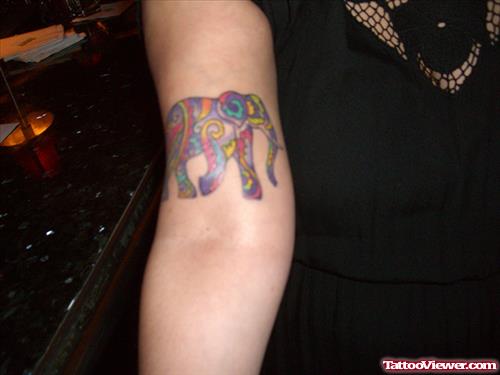 Colorful Elephant Tattoo On Muscles