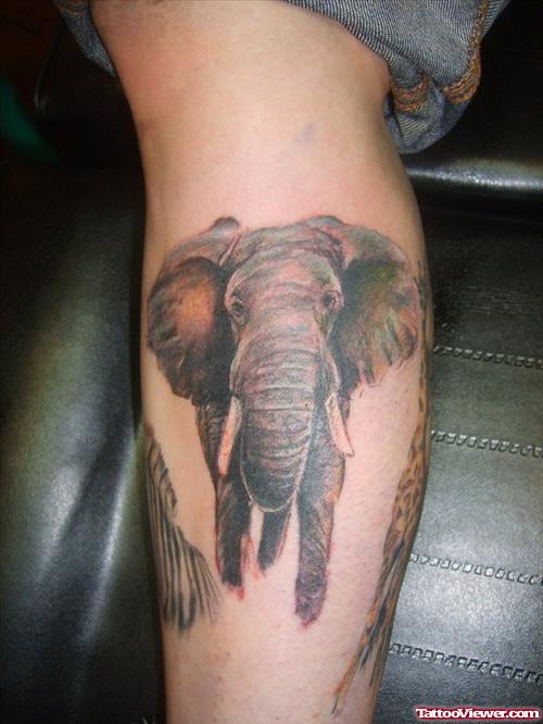 Guy Leg Elephant Tattoo