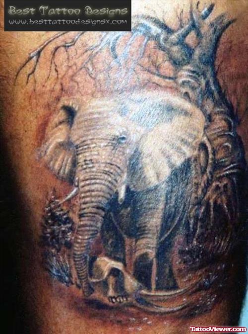 Grey Tree And Elephant Tattoo