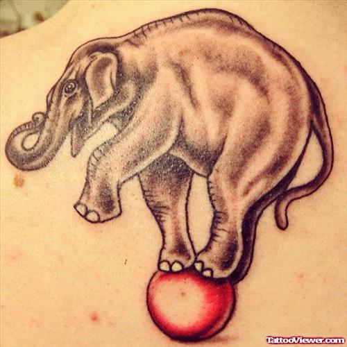 Grey Ink Circus Elephant Tattoo