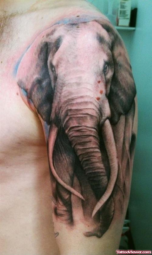 Elephant Tattoo On Man Left Half Sleeve