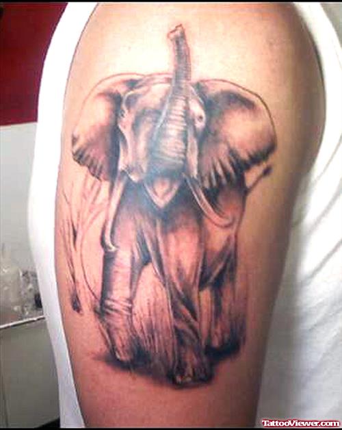 Angry Elephant Tattoo On Half Sleeve
