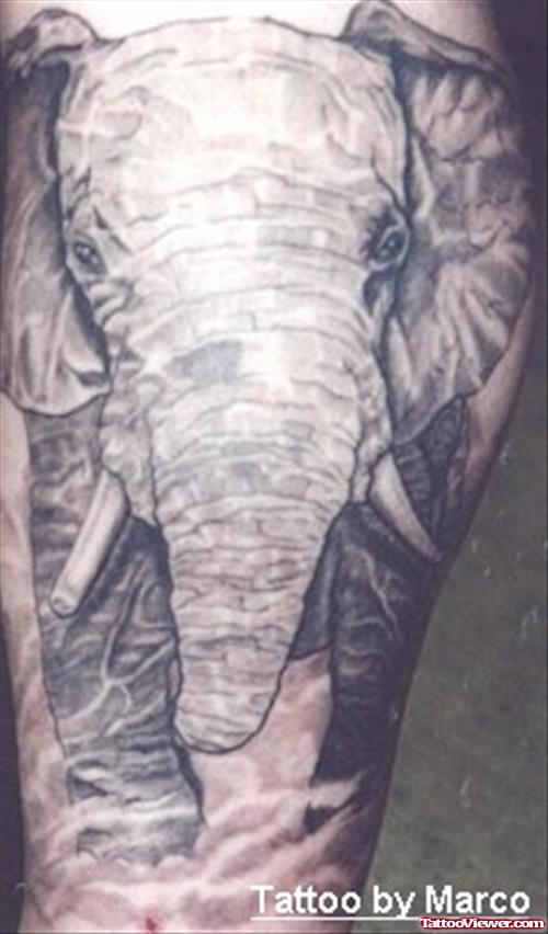 Amazing Grey Ink Elephant Tattoo