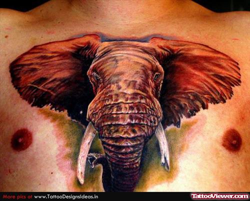 Elephant Head Tattoo On Man Chest