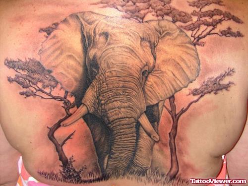 Elephant And Trees Tattoo On Back