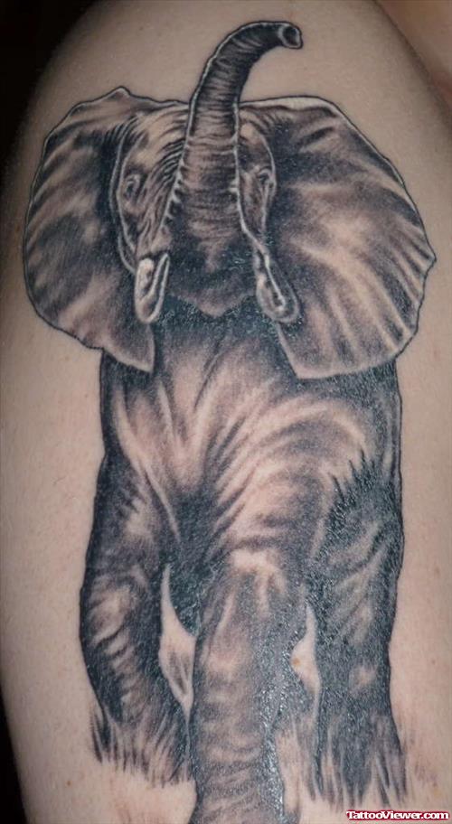 Beautiful Grey Elephant Tattoo