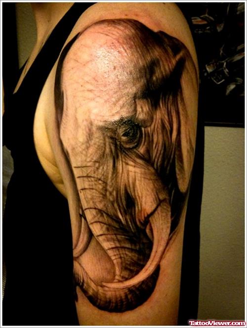 Realistic Elephant Tattoo On Left Half Sleeve
