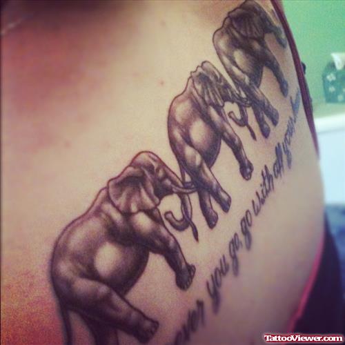 Grey Elephant Tattoos On Upperback