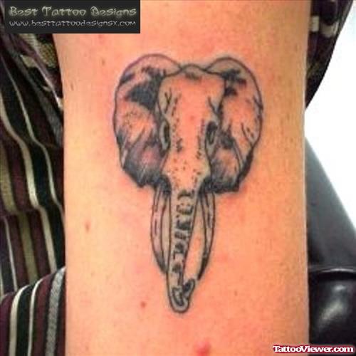 Grey Elephant Head Trunk Tattoo