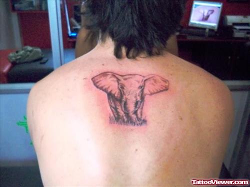 Elephant Tattoo On Upperback