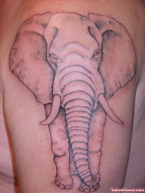 New Grey Elephant Tattoo On Half Sleeve