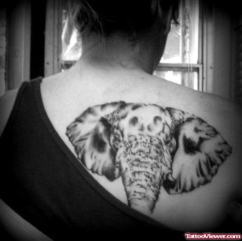 Grey Elephant Head Tattoo On Back Shoulder