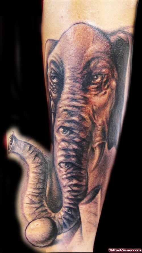 Elephant Head With Ball Tattoo