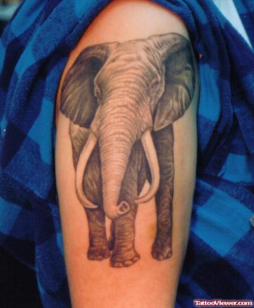 Awesome Grey Ink Elephant Tattoo