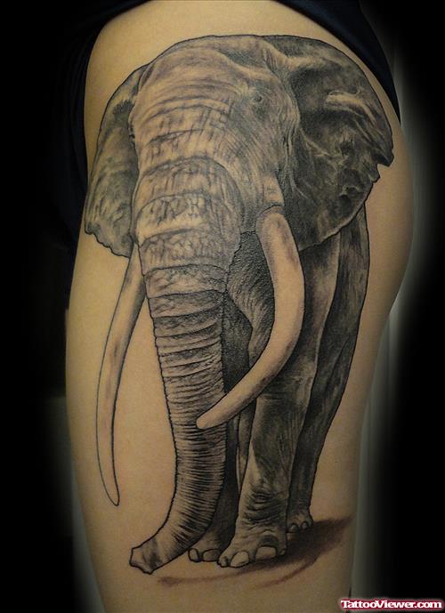 Attractive Grey Elephant Tattoo