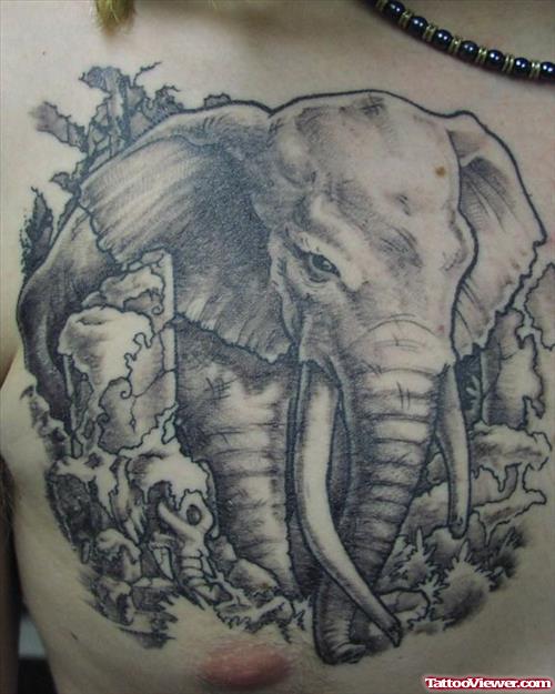 Grey Elephant Tattoos On Man Chest