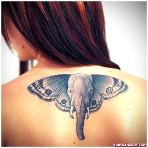 Elephant Head With Moth Wings Ears Tattoo