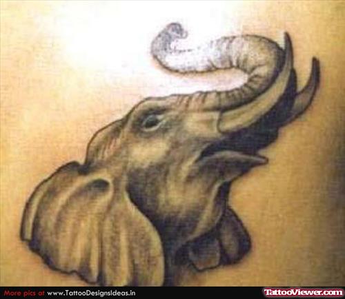 Wild Elephant Head Tattoo