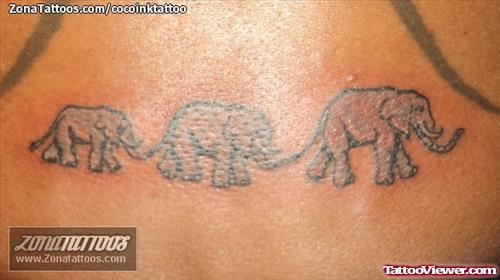 Three Elephant Tattoos