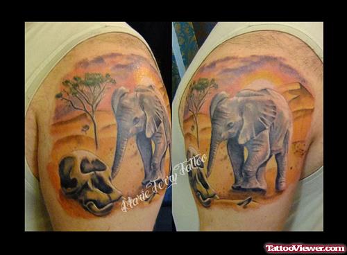 Baby Elephant With Ealephant Skull Tattoo