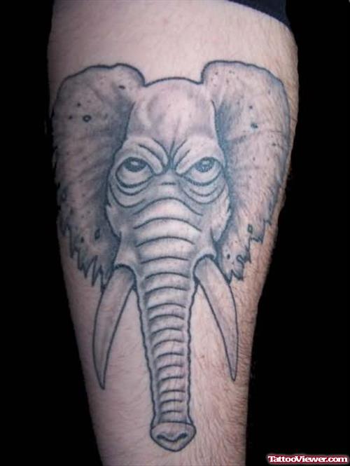 Elephant Tattoo Submitted by Tattoostime