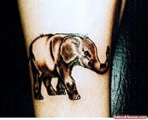 Baby Elephant on Ankle