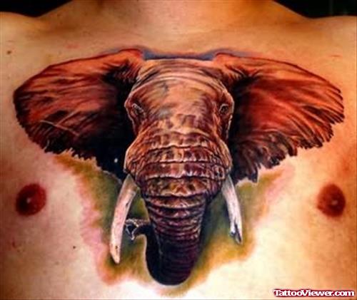 Stefano - Elephant Tattoo