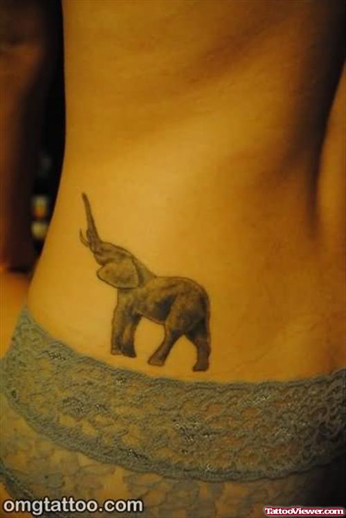 Elephant Tattoo Funny Pictures