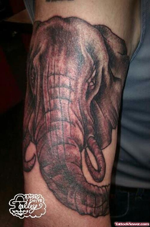 Big Face Elephant Tattoo