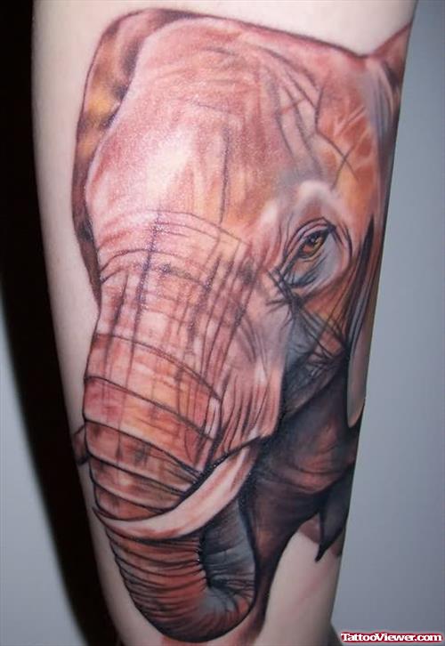 Shared Elephant Tattoo
