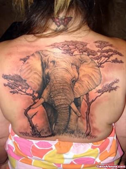 Large Elephant Tattoo On Lady Back